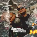 Barras Sin Barreras (RR3)