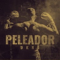 Peleador - Single - Dkno