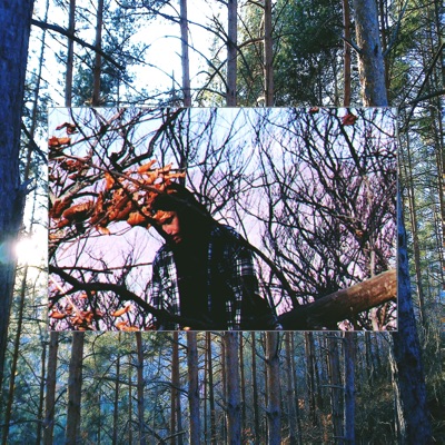 Low Life Lunatic - Single