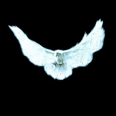 The Equaminity EP - EP