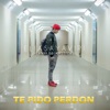 Te Pido Perdón - Single