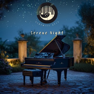 Serene Night: Piano and the Sound of Silence