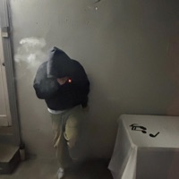 Flock - Single - indica.addictt, 206 Metro & 301 Troy