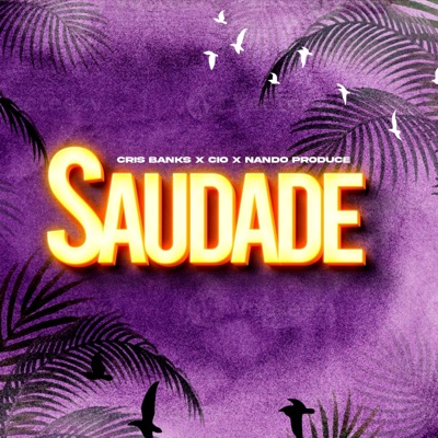 Saudade (feat. CIØ & Nando produce) - Single