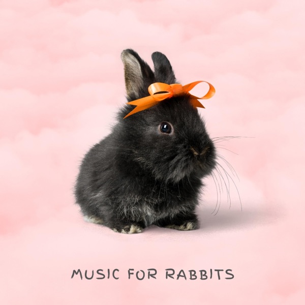 Music for Rabbits