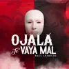 Raúl Aparicio - Ojalá Te Vaya Mal