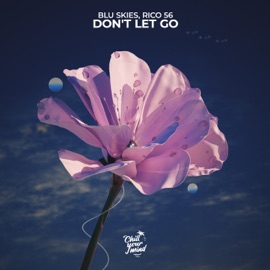 Don't Let Go blu skies & Rico 56
