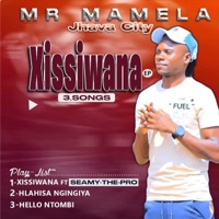 Xisiwana - Single - MR MAMELA