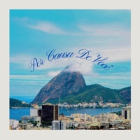 Por Causa de Você (feat. Bao, Ericbeatz & Donnar) - Single - Nevs & VALLADA