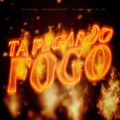Ta Pegando Fogo - Single