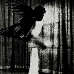 FALLEN ANGEL - Single