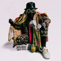 Shmesynth Eternal Pose - Single - Mézigue