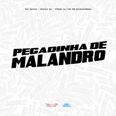 Pegadinha de Malandro - Single