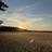 New Day