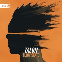 Flow State - Single - TALON & Dirty Workz