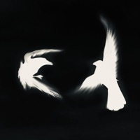 Last Pursuit - Single - Jfarrari