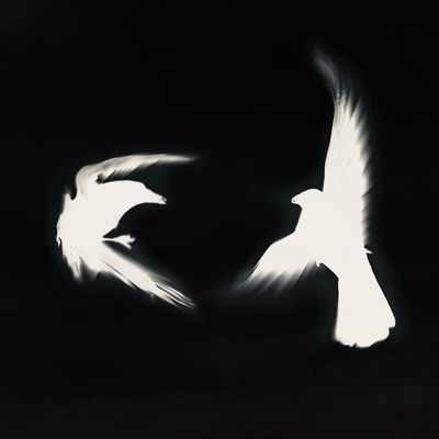 Last Pursuit - Single