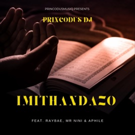 Imithandazo (feat. RayBae, Mr Nini & Aphile) Princodus Dj