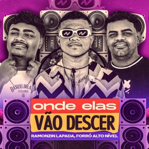 Onde Elas Vão Descer