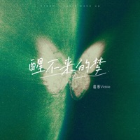 醒不来的梦 - Single - 梧彤Vickie