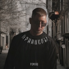 Принципы POMIRU