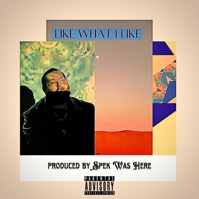 Like What I Like - Single