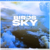 Birds In The Sky (Mazza_l20 Remix) artwork
