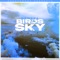 Birds In The Sky (Mazza_l20 Remix) artwork