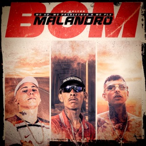 Malandro Bom (feat. Mc HD)