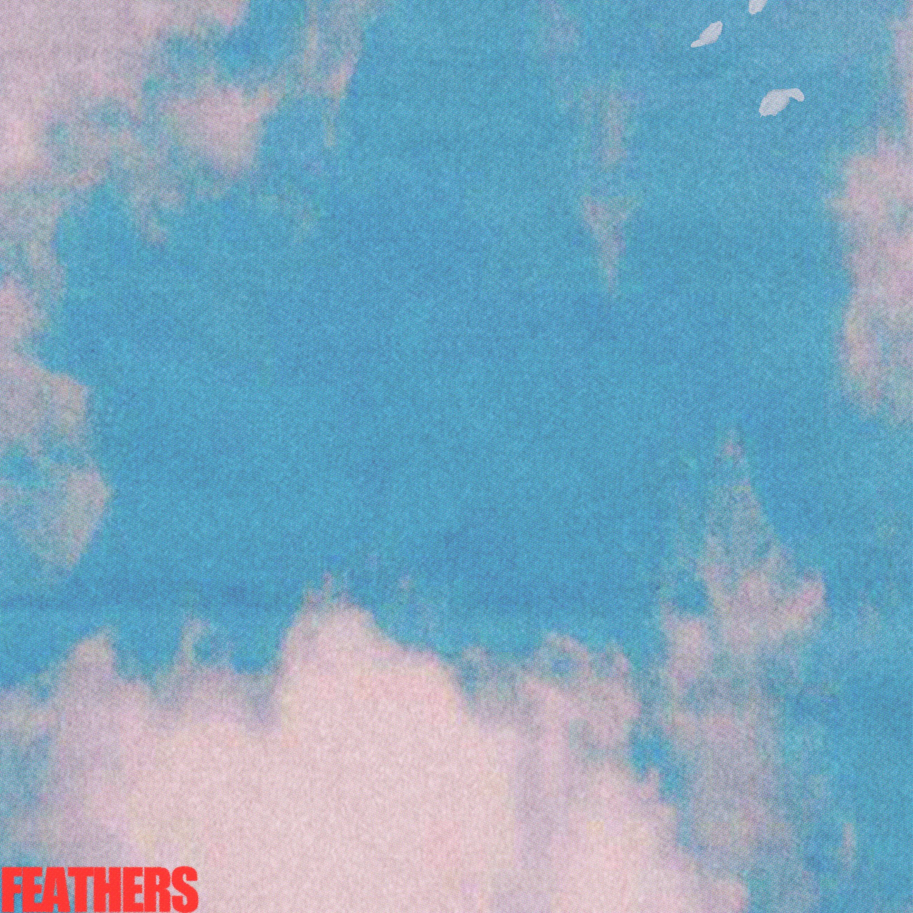 Feathers - Single