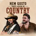 Nem Gosto Tanto Assim de Country