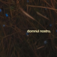 Domnul Nostru feat. Monica Gheran