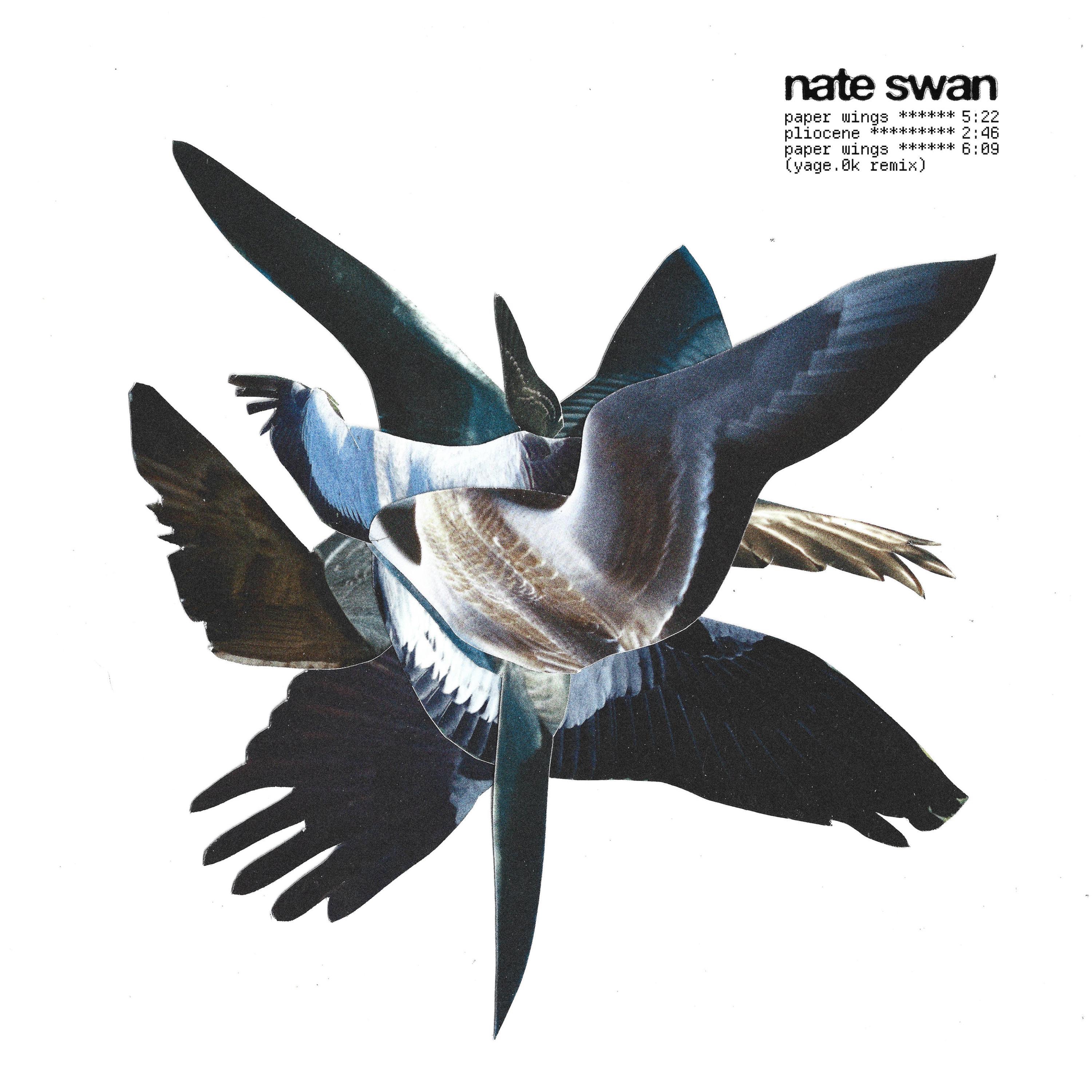 Paper Wings - Single