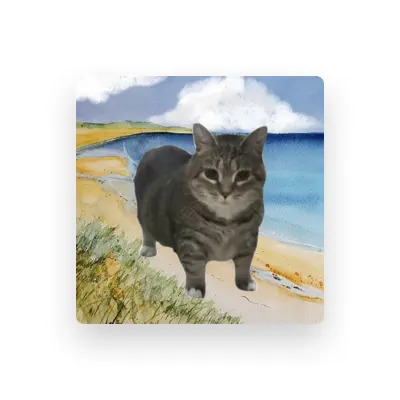 Listen to OIIA Cat, watch music videos, read bio, see tour dates & more!