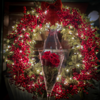 la espina. - Dariel Amant Cover Art