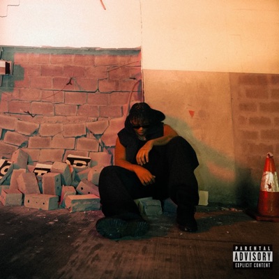 Too Fast - Single