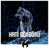 MT - Hani Gökbörü artwork
