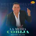 Héctor Gélvez