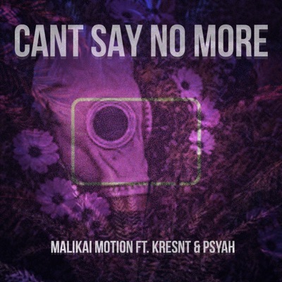 Can't Say No more (feat. Kresnt & Psyah) - Single