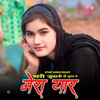 भरी जुवानी में भुगत गी मेरा यार - Single - Star Varis Pahat & Aadil Singer Mewati
