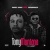 Tony Montana (feat. Seanbreeze) - Single