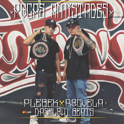Pocas Amistades - Single