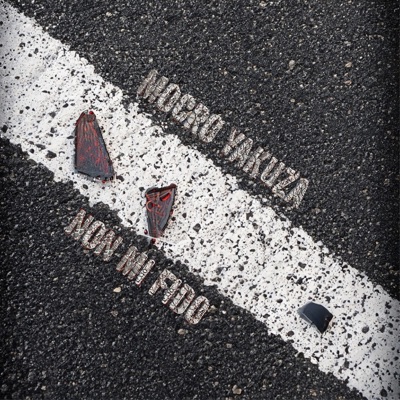 NON MI FIDO - Single