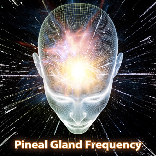 Pineal Gland Frequency (936 Hz Meditation)