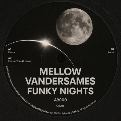 Funky Nights (feat. Vandersames) - Single