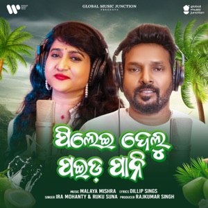Pilei Delu Paida Pani