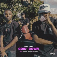 GOIN' DOWN (feat. Goodboy Gravity & Carsmoh) - Single - Venge Caust