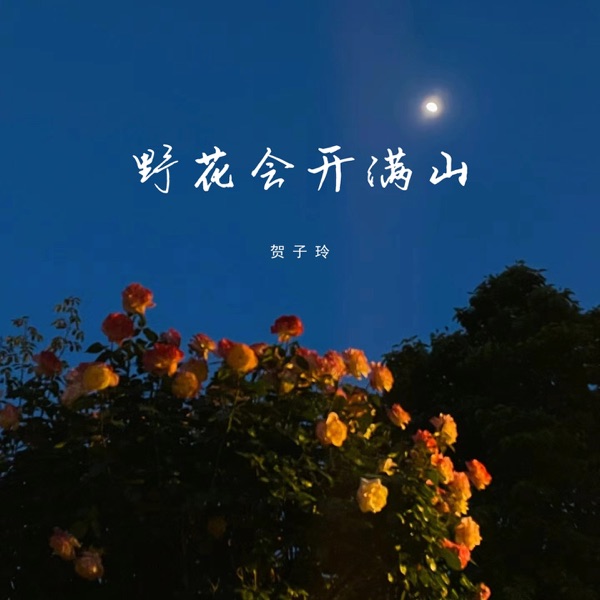 野花会开满山 - Single