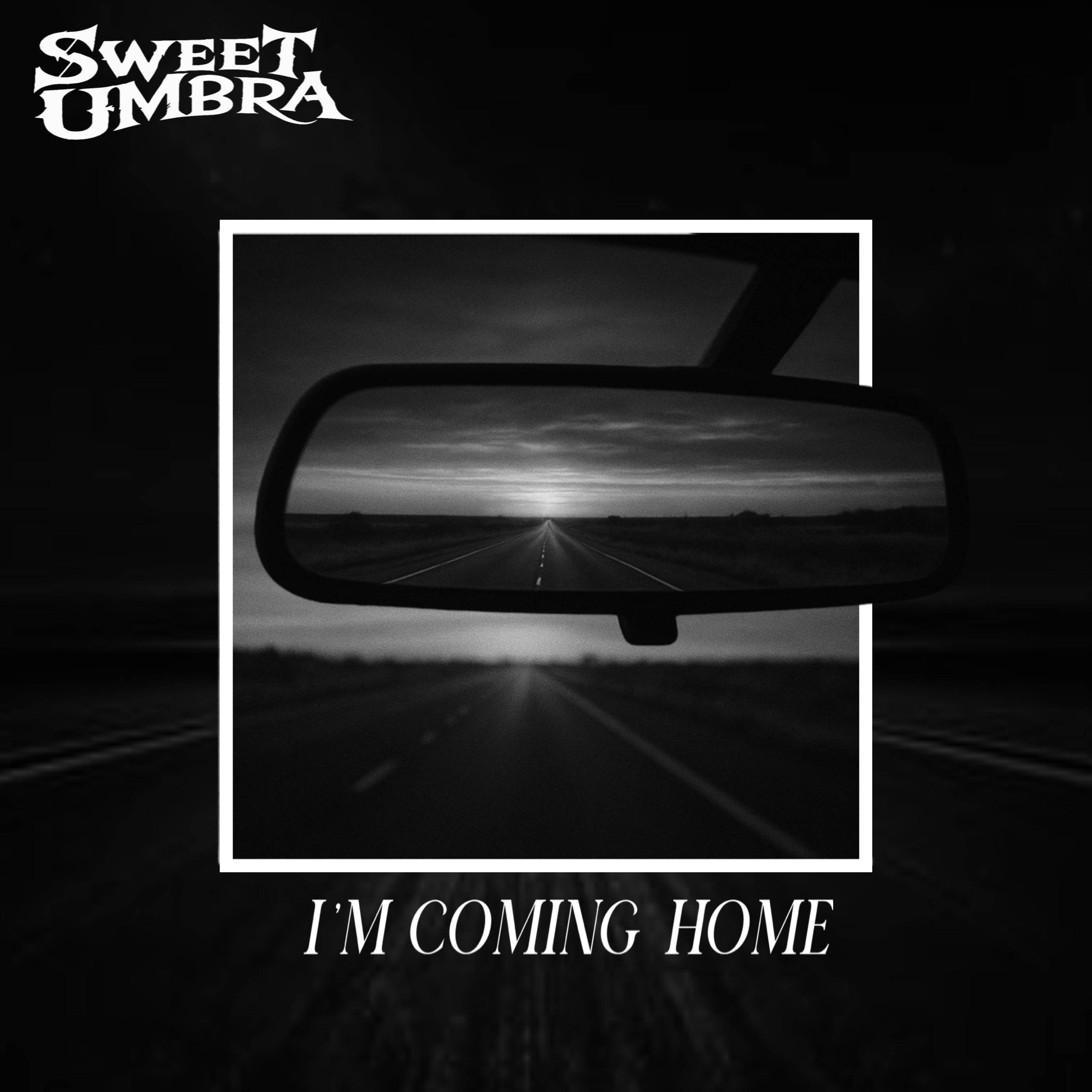 I'm Coming Home - Single