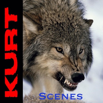 Kurt : A Wolf’s 12 Stages of Grief